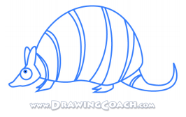 how to draw a armadillo st4