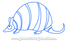 How to Draw a Cartoon Armadillo