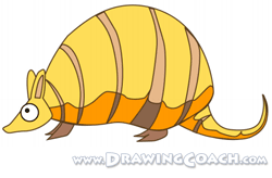 how to draw a armadillo st5