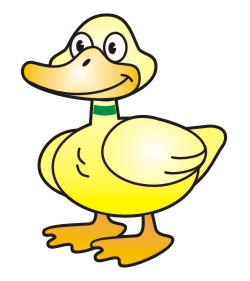 Duck Coloring Pages on Duck Coloring Page A Cute Duck Swimming Duckling Coloring Page