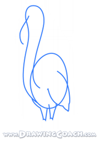 how to draw a cartoon flamingo st2