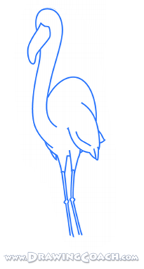 how to draw a cartoon flamingo st3