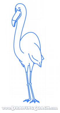 how to draw a cartoon flamingo st5