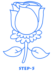 Cartoon Flower Drawing Step 5