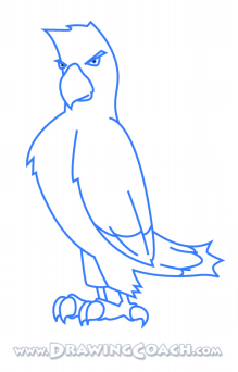 how to draw a cartoon hawk st4