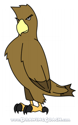how to draw a cartoon hawk st5