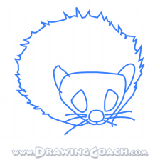 how to draw a cartoon hedgehog st2