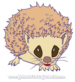 How to Draw a Cartoon Hedgehog