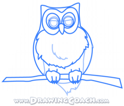how to draw a cartoon owl st4