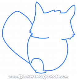 how to draw a cartoon raccoon st2