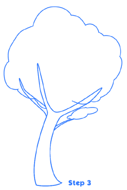 cartoon tree drawing st3