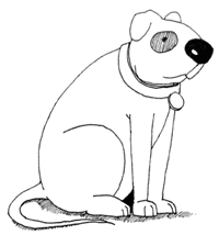 drawing dogs step 5