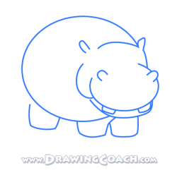 how to draw a cartoon hippo st3