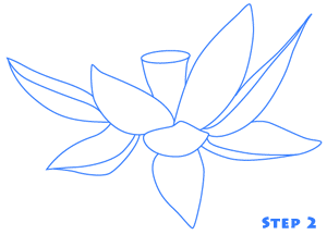 lotus flower step 2
