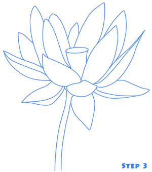 lotus flower step 3