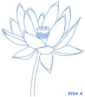 lotus flower step 4