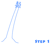 palm tree step 1