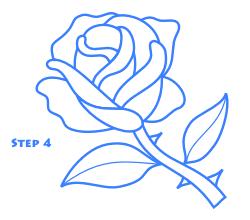 Rose Drawing Lesson Rose Drawing Lesson