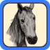 How to Draw a Horse