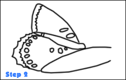 butterfly drawing step 2
