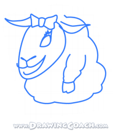 how to draw a lamb st3