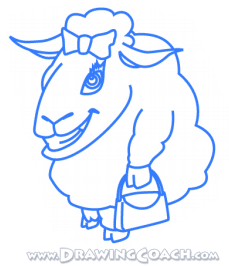 how to draw a lamb st5
