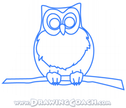 how to draw a cartoon owl st3