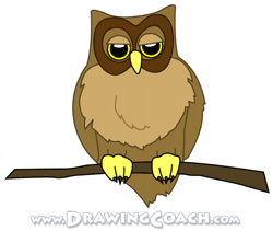 how to draw a cartoon owl final
