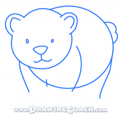 how to draw a cartoon polar bear st3