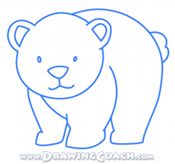 how to draw a cartoon polar bear st4