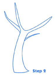 cartoon tree drawing st2
