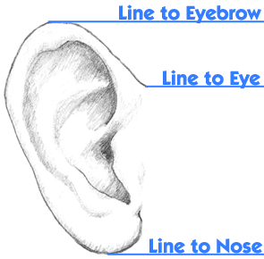 ear drawing 2