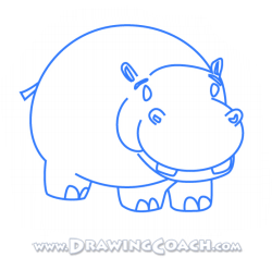 how to draw a cartoon hippo st4