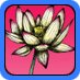 lotus flower drawing