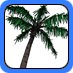 palm tree drawing