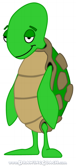 how to draw a turtle final